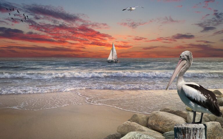 Building a Remote Career in the Travel Industry: Navigating Opportunities and Challenges