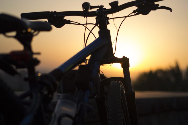 Sustainable Living Eco-Friendly Transportation Options for Cities: Bike Sharing, Electric Scooters, and Public Transit