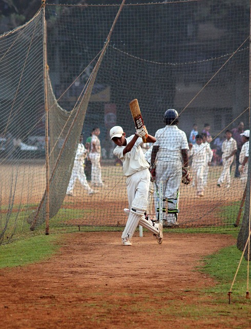Cricket and Digital Communities: Online Fan Engagement