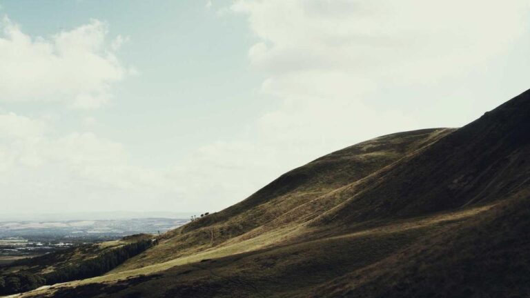 What Is The 99Exch Withdrawal Limit Per Day?